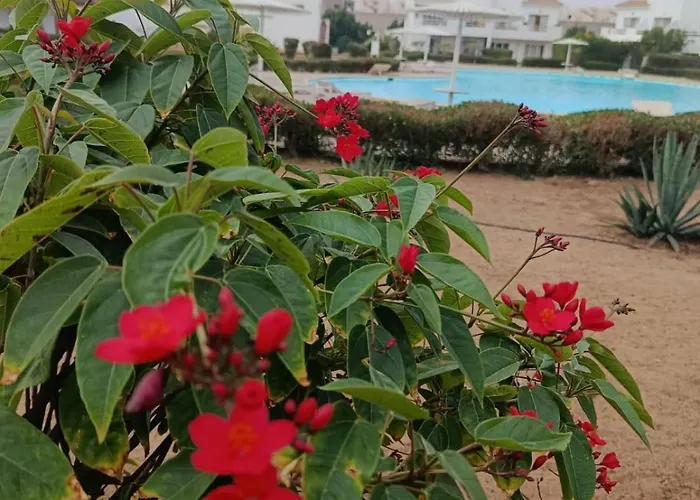 Tatil Evi La Casa Di Pamela Naama Bay View Şarm El-Şeyh